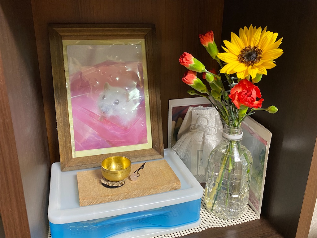 f:id:happymayalife:20240716173937j:image f:id:happymayalife:20240716173937j:image