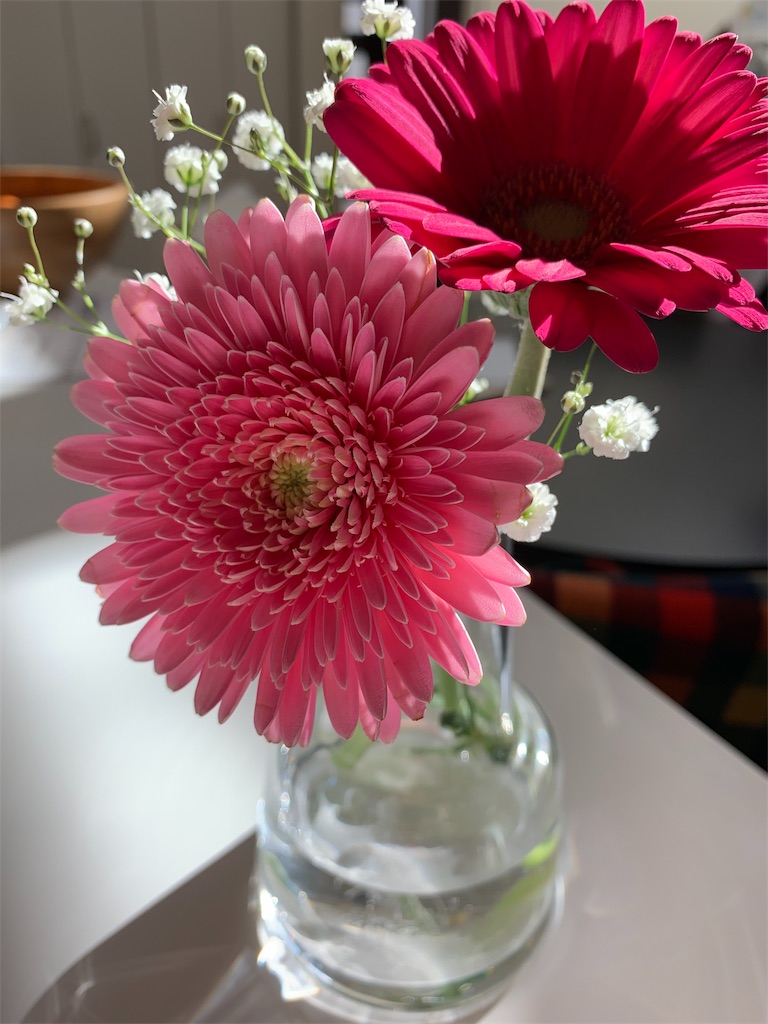 f:id:happymom3:20190204103810j:image