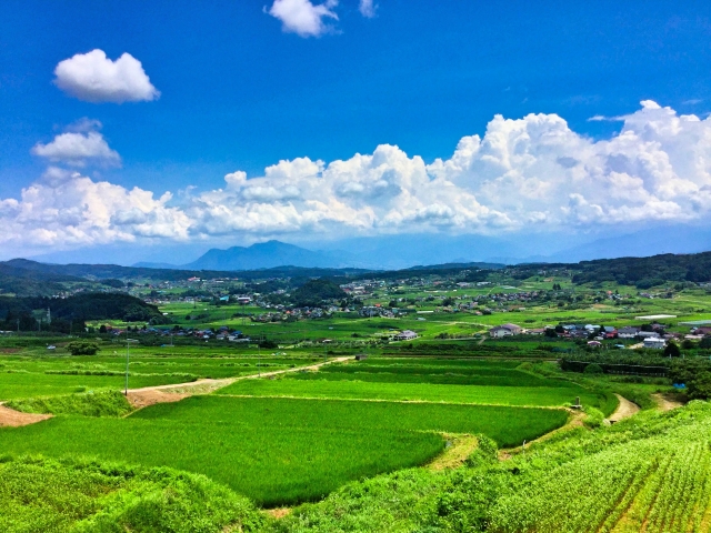 f:id:happynari:20180810121206j:plain