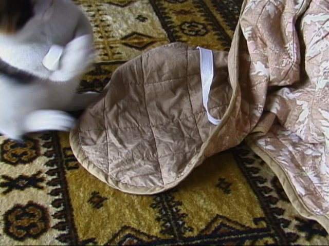 f:id:happynyanko1:20201005001226j:plain