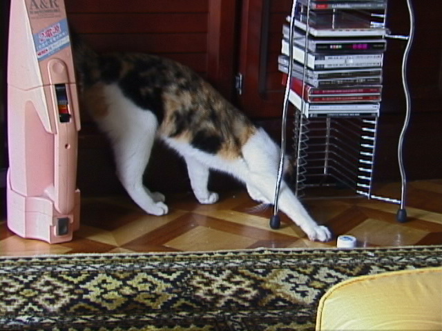 f:id:happynyanko1:20201005001512j:plain