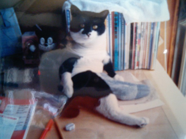 f:id:happynyanko1:20201005135541j:plain f:id:happynyanko1:20201005135541j:plain