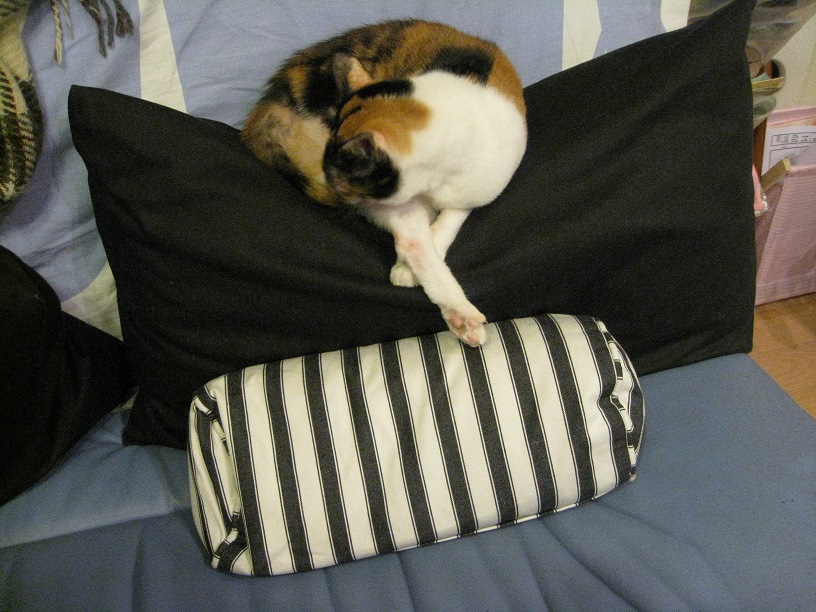 f:id:happynyanko1:20201007145930j:plain