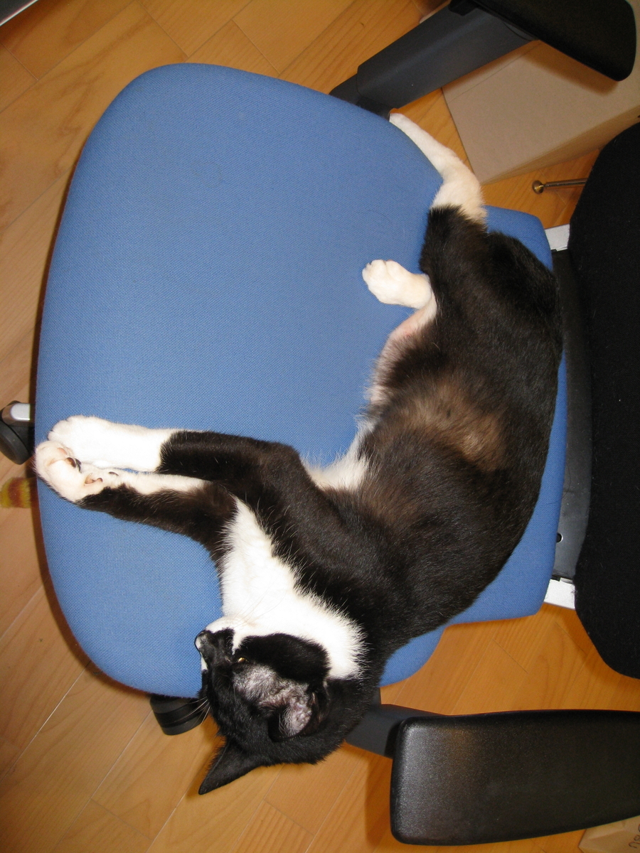 f:id:happynyanko1:20201008182944j:plain