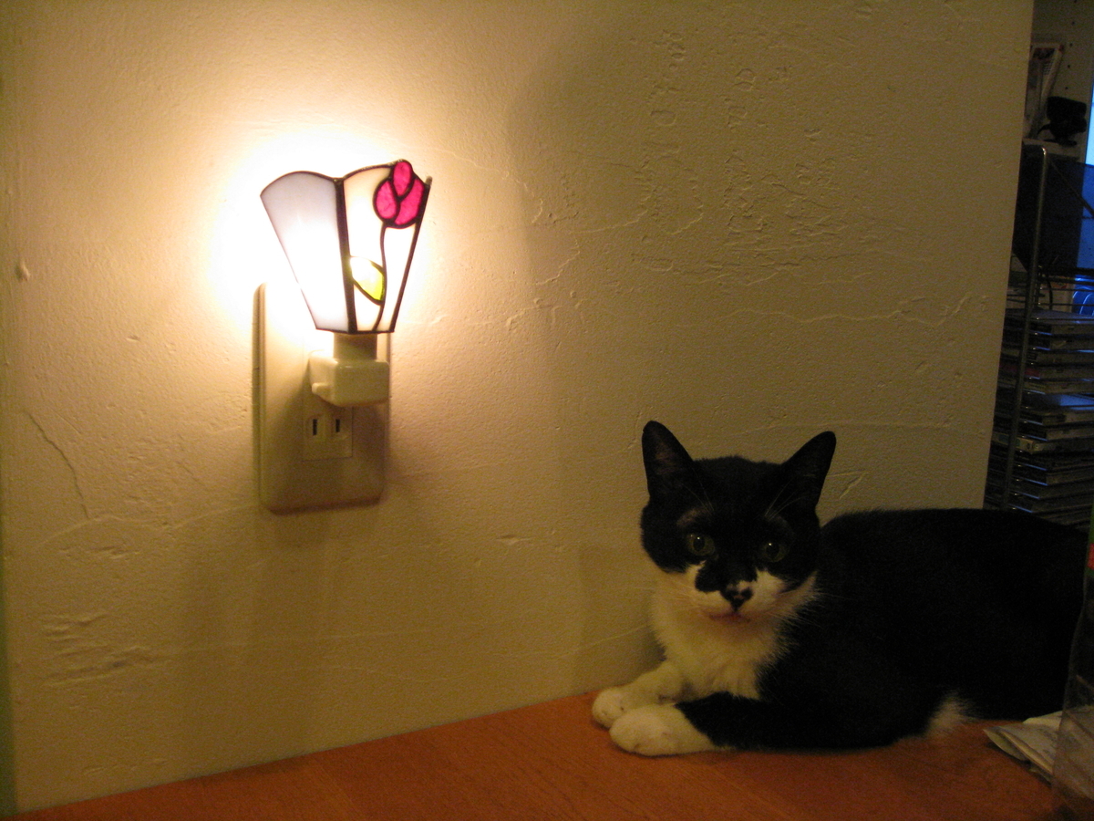 f:id:happynyanko1:20201008191012j:plain