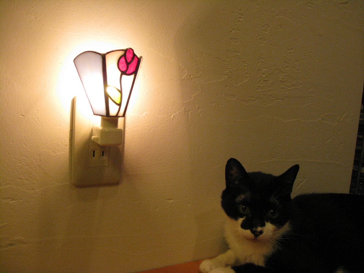 f:id:happynyanko1:20201008191228j:plain