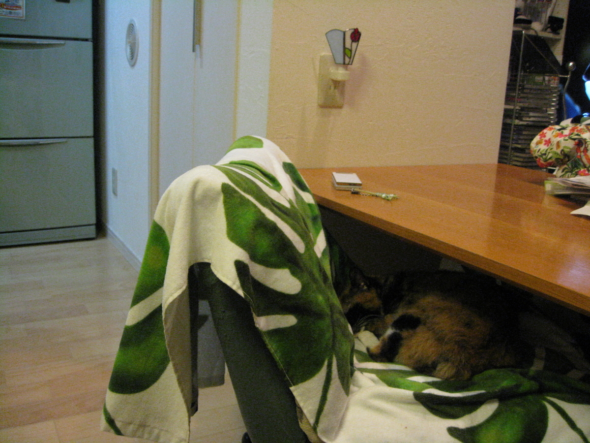 f:id:happynyanko1:20201008193824j:plain