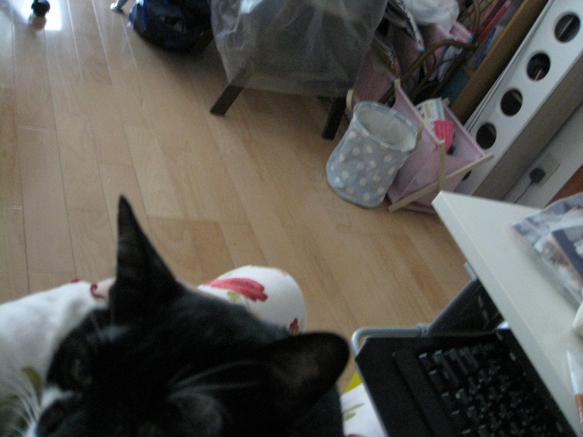 f:id:happynyanko1:20201008223705j:plain
