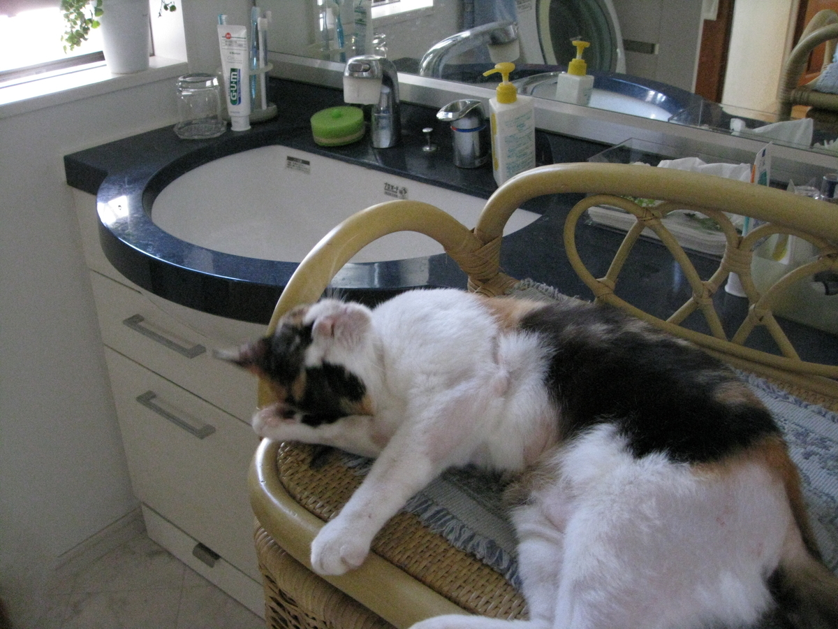 f:id:happynyanko1:20201008230724j:plain