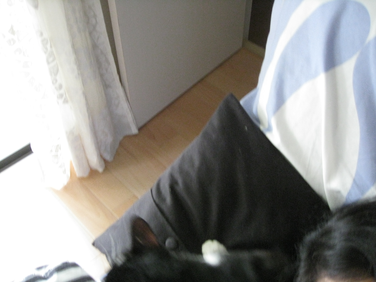 f:id:happynyanko1:20201008231614j:plain