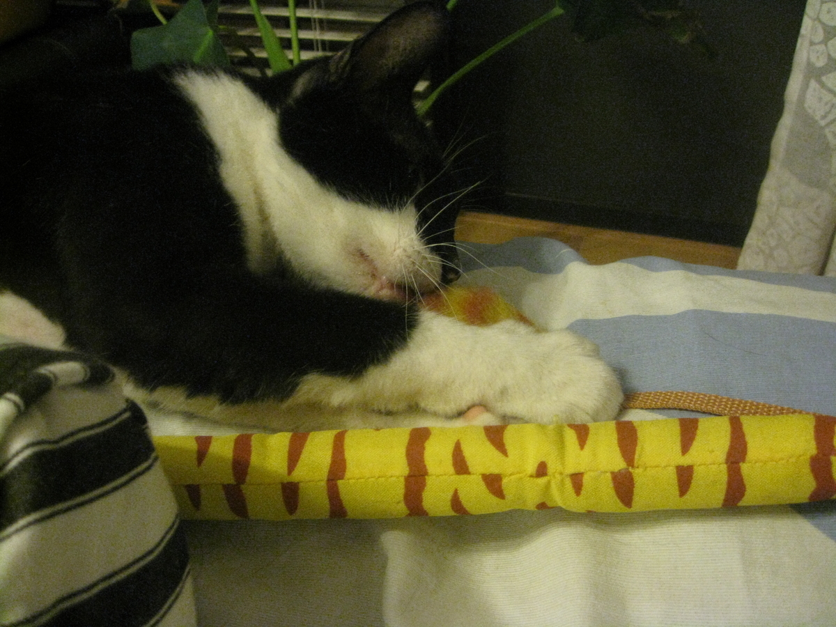 f:id:happynyanko1:20201009163240j:plain