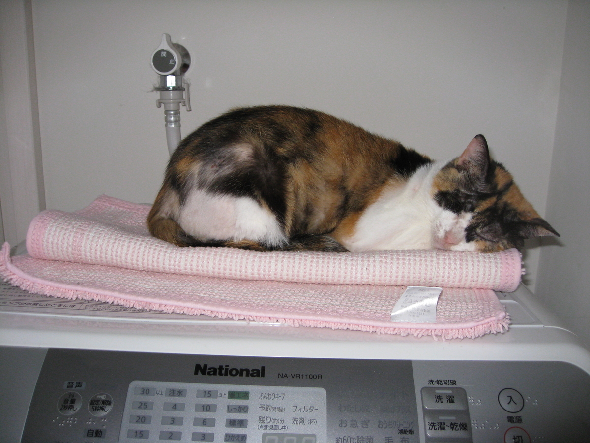 f:id:happynyanko1:20201010180733j:plain