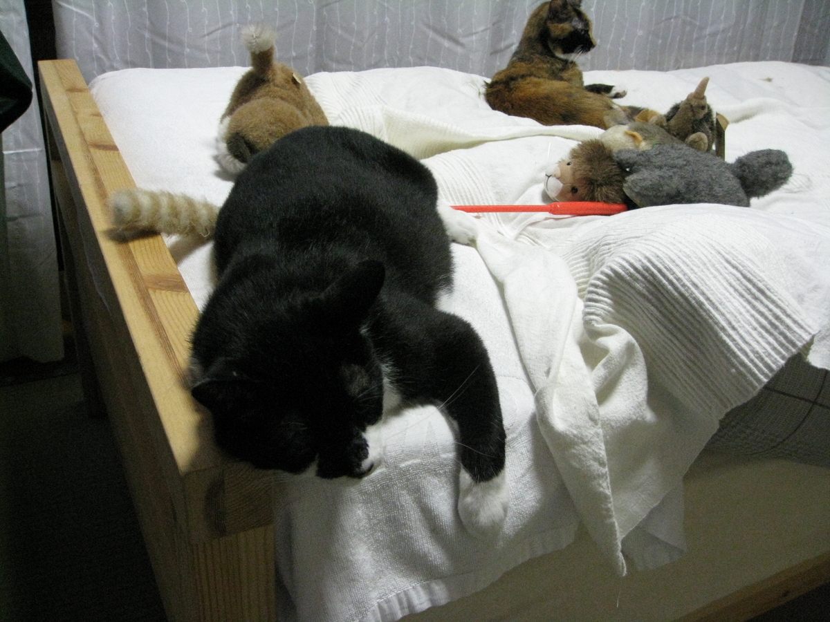 f:id:happynyanko1:20201010222115j:plain