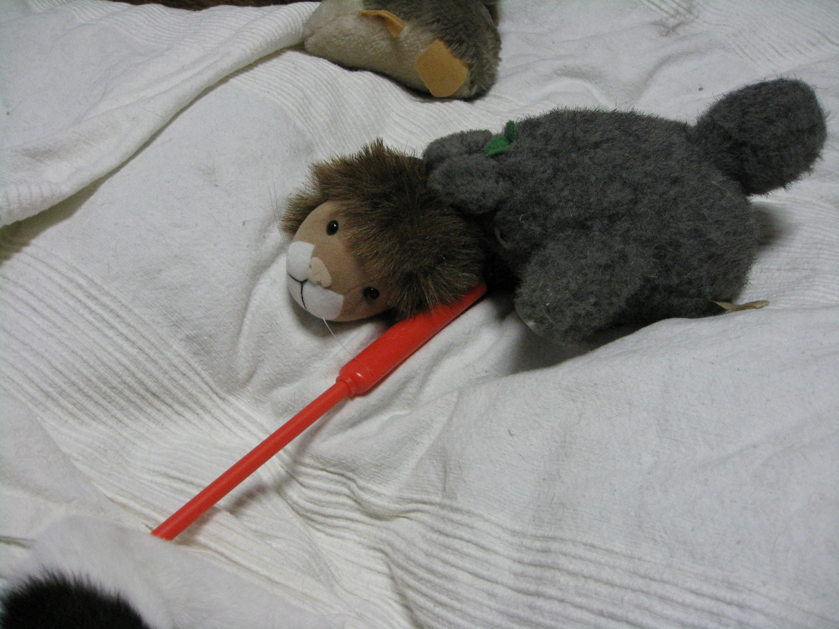 f:id:happynyanko1:20201010222210j:plain