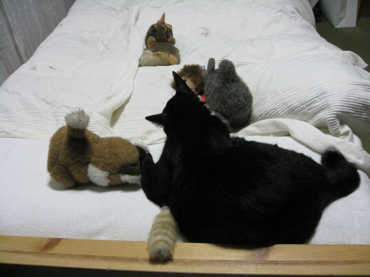f:id:happynyanko1:20201010222425j:plain