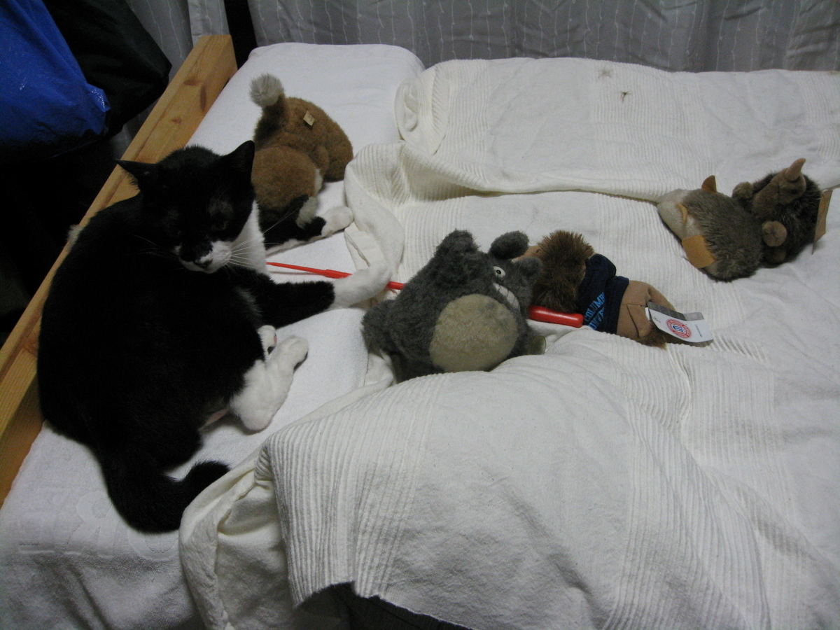 f:id:happynyanko1:20201010222454j:plain