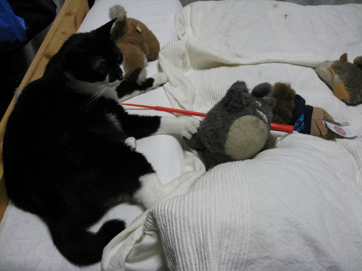 f:id:happynyanko1:20201010222537j:plain