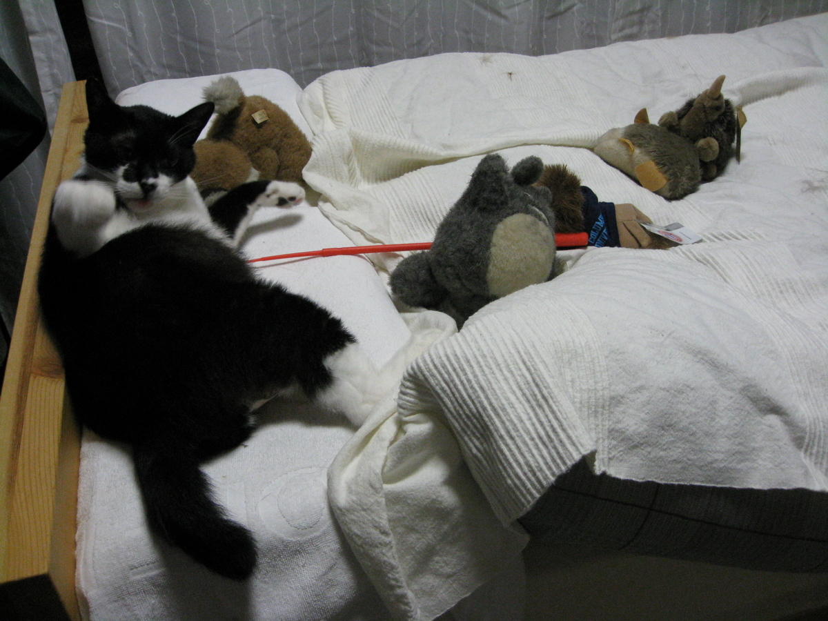 f:id:happynyanko1:20201010222747j:plain
