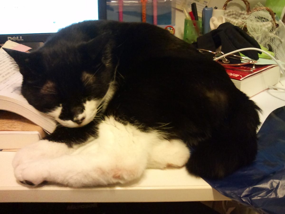 f:id:happynyanko1:20201011104858j:plain