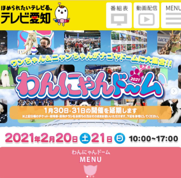 f:id:happynyanko1:20210204114540p:plain