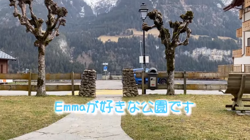 f:id:happynyanko1:20210310195652p:plain