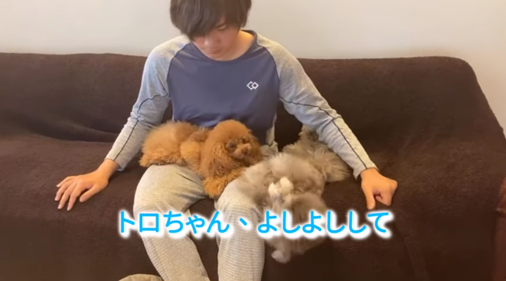 f:id:happynyanko1:20210316204020p:plain