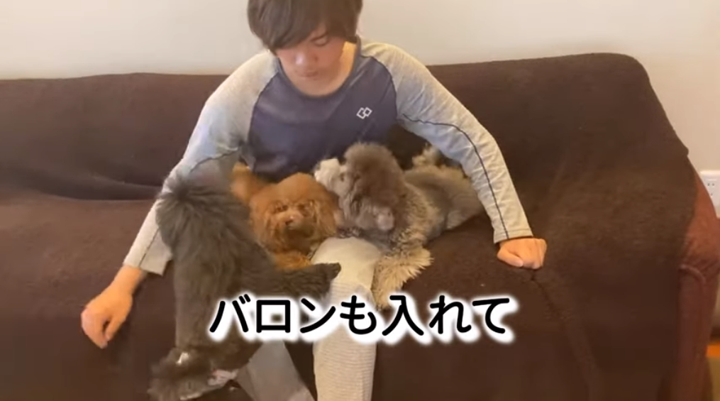 f:id:happynyanko1:20210316204112p:plain