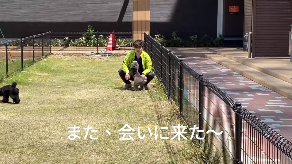 f:id:happynyanko1:20210423133833p:plain
