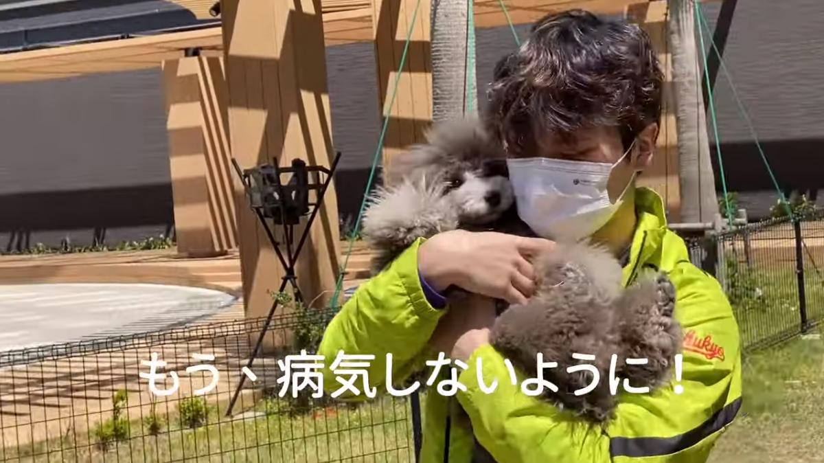 f:id:happynyanko1:20210423133948p:plain