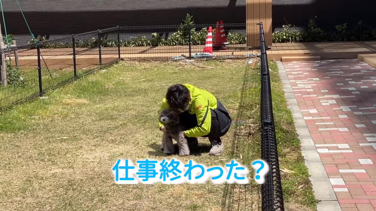f:id:happynyanko1:20210423134304p:plain