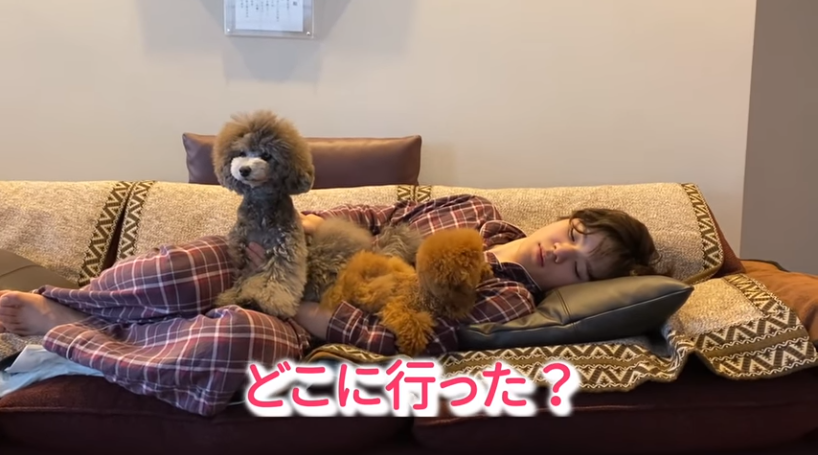 f:id:happynyanko1:20210426203443p:plain