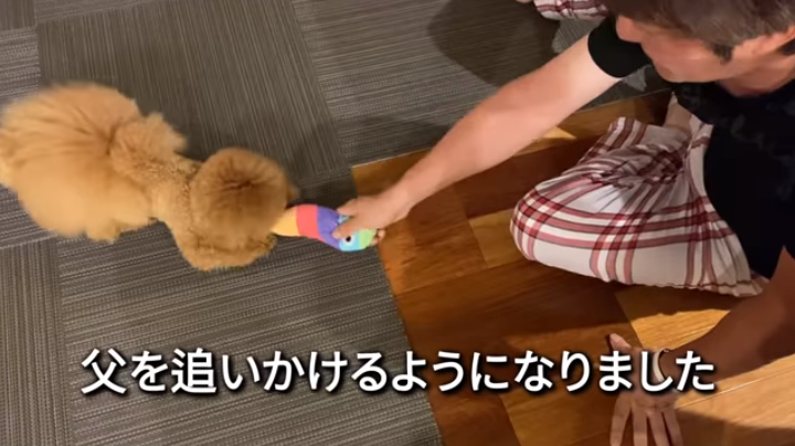 f:id:happynyanko1:20210608223643p:plain