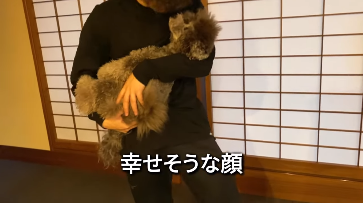 f:id:happynyanko1:20210613182213p:plain