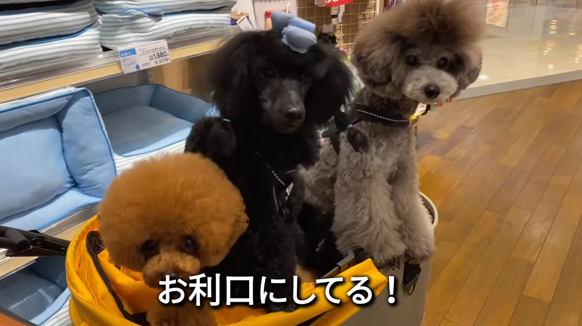 f:id:happynyanko1:20210622201836p:plain