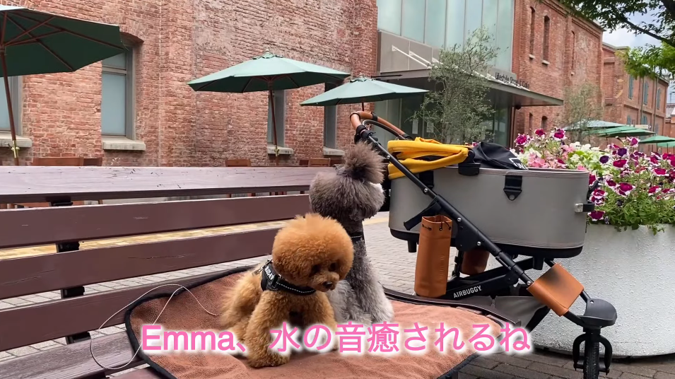 f:id:happynyanko1:20210627200010p:plain