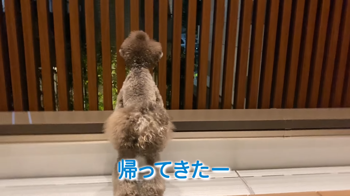 f:id:happynyanko1:20210719200940p:plain