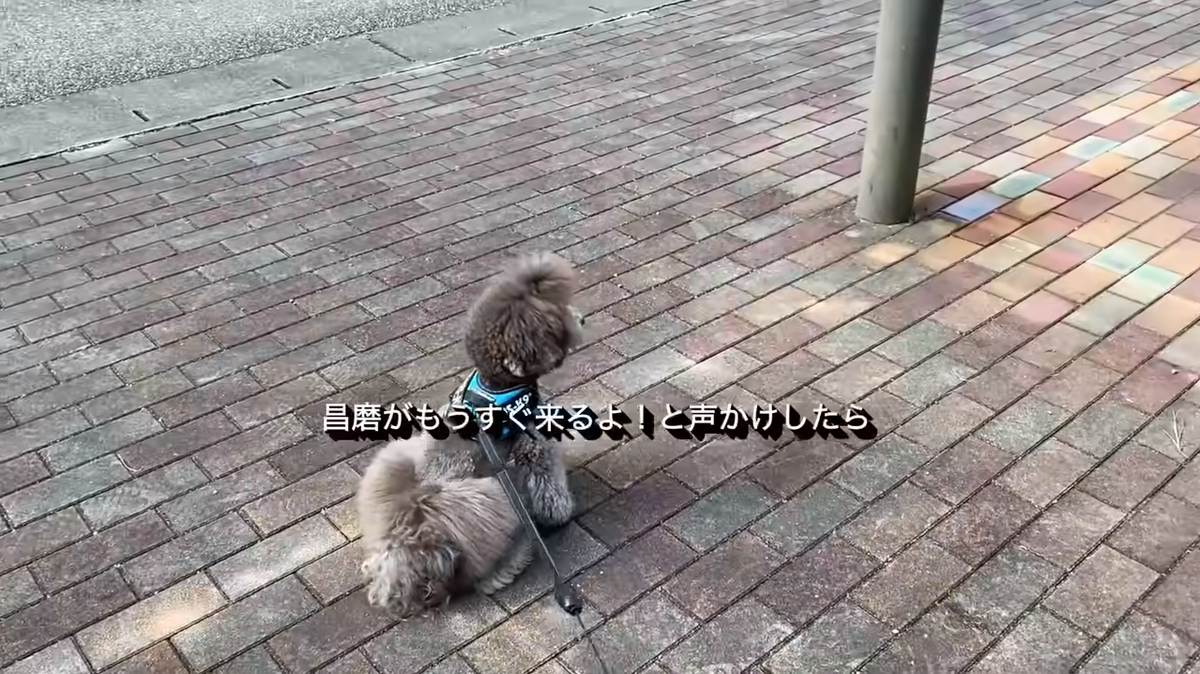 f:id:happynyanko1:20210808141457p:plain