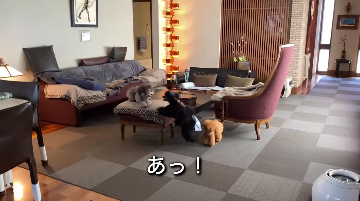 f:id:happynyanko1:20210811194620p:plain