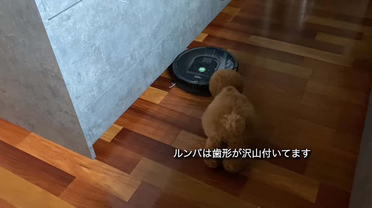 f:id:happynyanko1:20210813171230p:plain