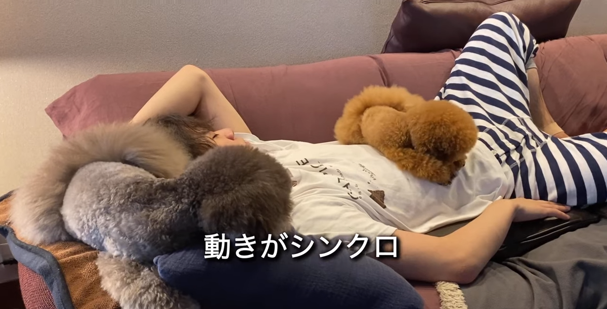 f:id:happynyanko1:20210902184447p:plain