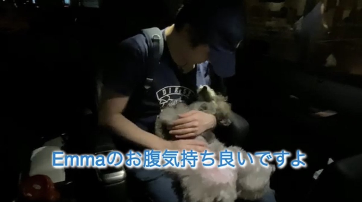 f:id:happynyanko1:20210925221338j:plain