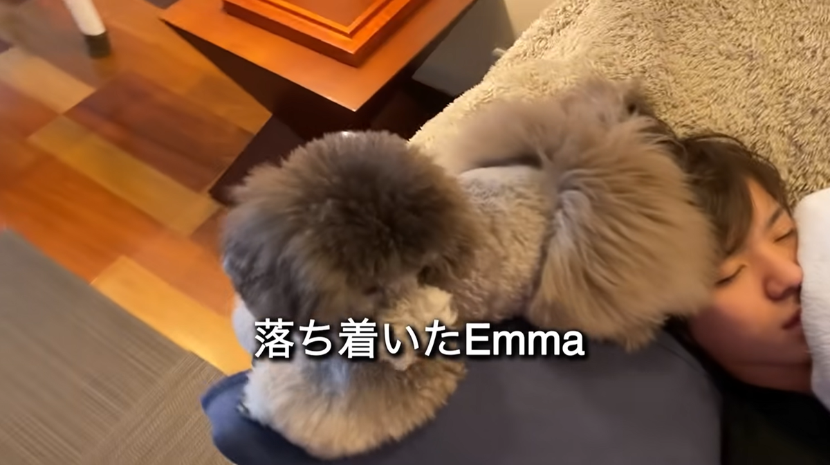 f:id:happynyanko1:20211031140029p:plain