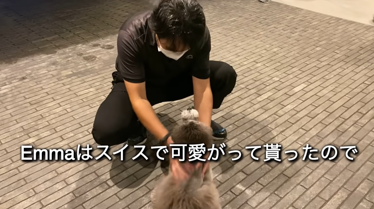 f:id:happynyanko1:20211031140109p:plain