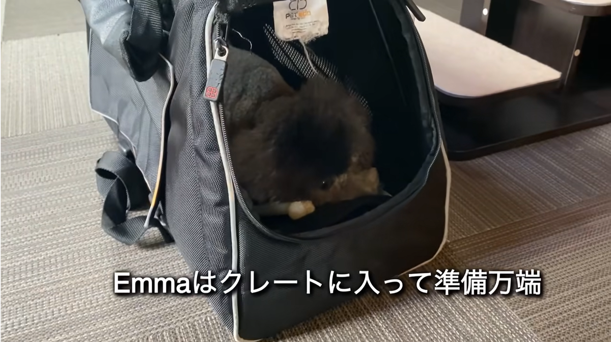 f:id:happynyanko1:20211115205419p:plain