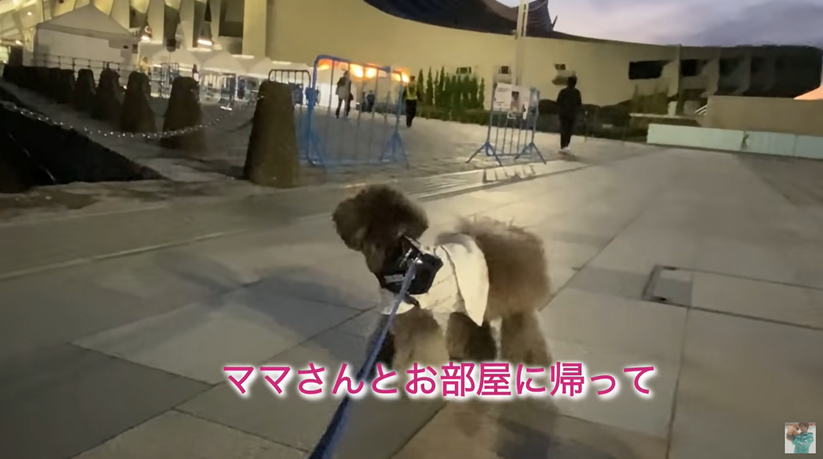 f:id:happynyanko1:20211115205630p:plain