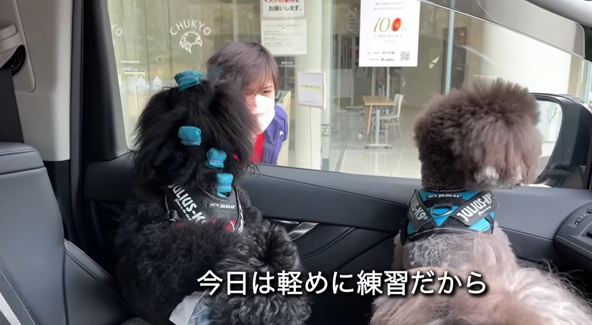 f:id:happynyanko1:20211205193240p:plain
