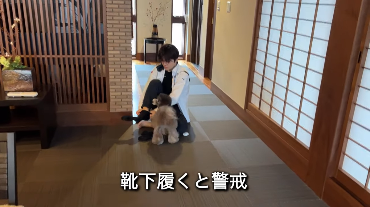 f:id:happynyanko1:20211207194110p:plain