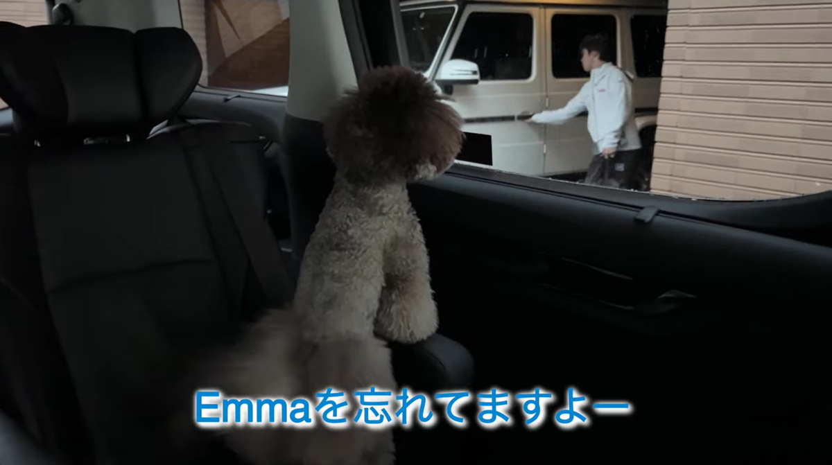 f:id:happynyanko1:20211207194130p:plain