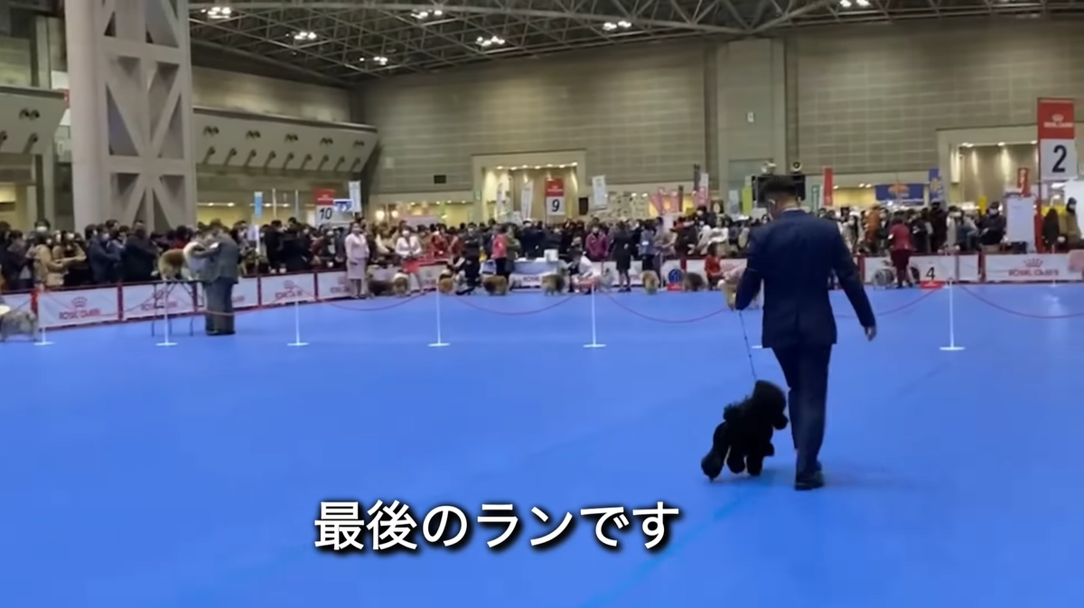 f:id:happynyanko1:20211219204315p:plain