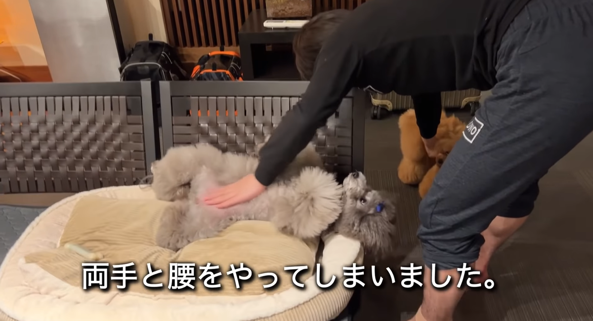 f:id:happynyanko1:20211219204436p:plain